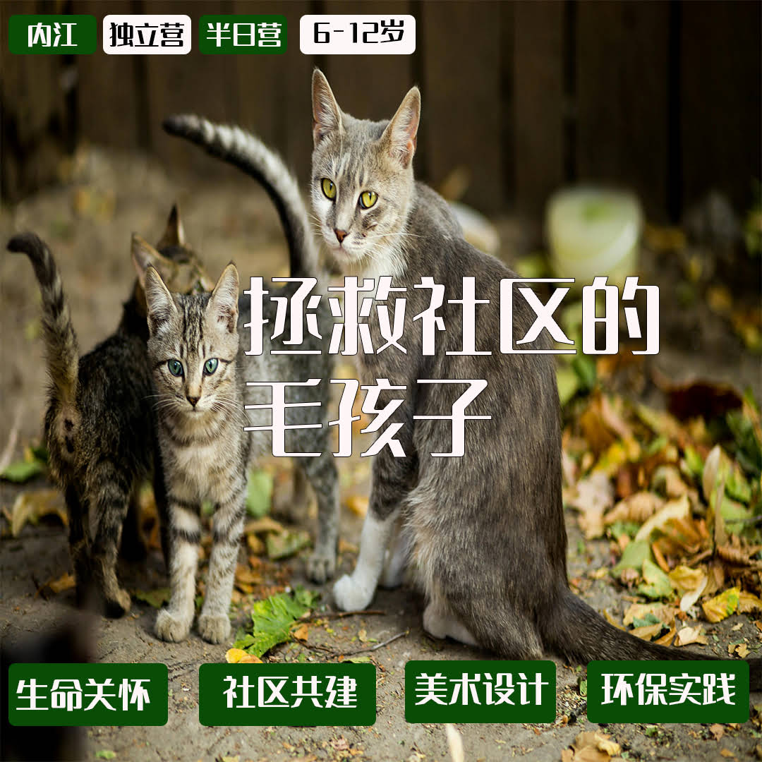 拯救社区的毛孩子